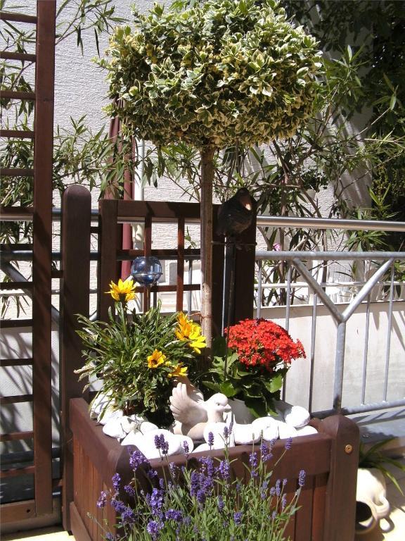 Haus Christa Hotel Bad Bertrich